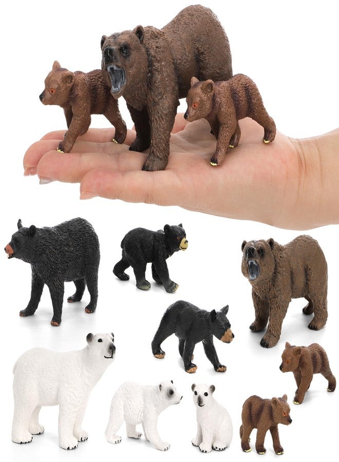 ZENFUN 9 Piece Bear Figurines, Realistic Forest Animals, Bear Family Figures Set Include Polar Brown Black Bears and Cubs, Cake Toppers Christmas Birthday Gift - Image 5